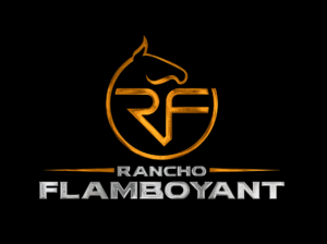 Rancho Flamboyant – VGP