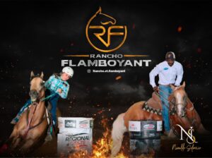 Rancho Flamboyant – VGP