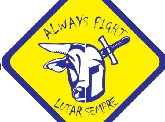 Always Fight