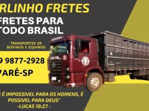 Carlos Frete