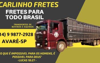 Carlos Frete