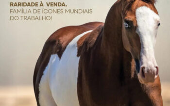 JGC Ranch leva elite da genética Quarto de Milha ao Leilão JBJ Ranch & Amigos