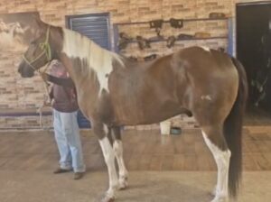 QM sem registro – 10 anos