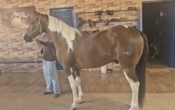 QM sem registro – 10 anos