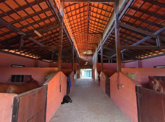 Rancho Completo 4,8 hectares