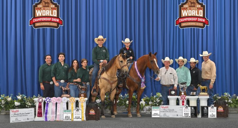 O Brasil no Topo do Mundo: Conquista Histórica no AQHYA World